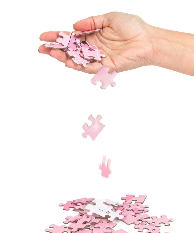 GEHEIM SPEL - PUZZELSPEL