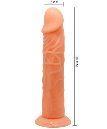 Pleasurements – Baile – Vive Realistic Dildo Natural 19.8 Cm Pleasurements – Baile – Vive Realistic Dildo Natural 19.8 Cm