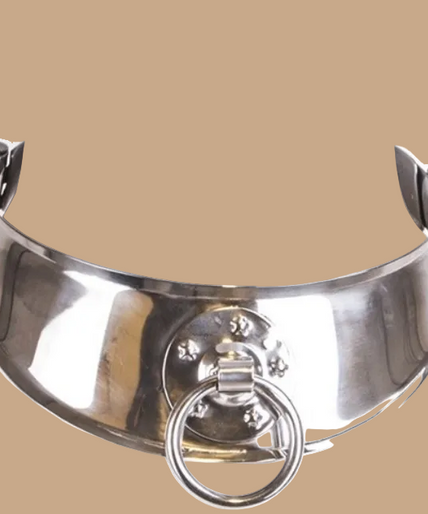 Metalen Harde Fixatiehalsband met Ring – Roestvrij staal Metalen Harde Fixatiehalsband met Ring – Roestvrij staal