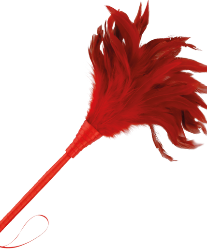 DARKNESS - RED STIMULATING PEN 24CM DARKNESS - RED STIMULATING PEN 24CM