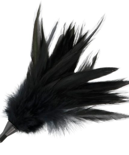 DARKNESS - BLACK FEATHER WHIP DARKNESS - BLACK FEATHER WHIP