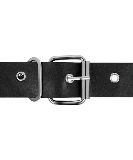 HARNESS ATTRACTION - RNES MURDOCK 19.8 + 15 CM -O- 4 CM HARNESS ATTRACTION - RNES MURDOCK 19.8 + 15 CM -O- 4 CM