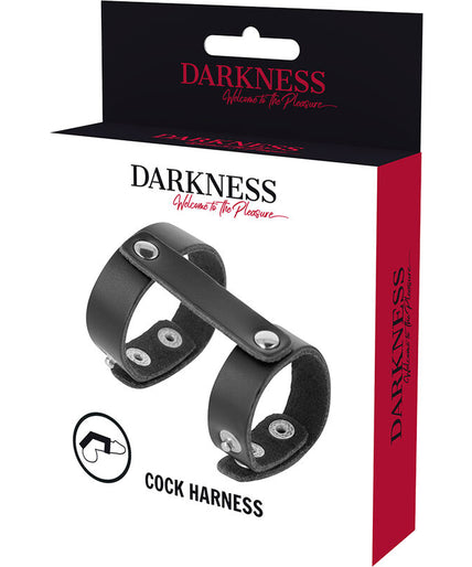DARKNESS - LEATHER ADJUSTABLE PENIS AND TESTICLE RING DARKNESS - LEATHER ADJUSTABLE PENIS AND TESTICLE RING