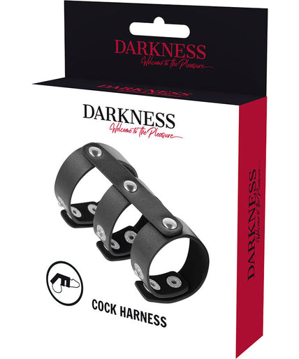 DARKNESS - ADJUSTABLE LEATHER DOUBLE PENIS AND TESTICLE RING DARKNESS - ADJUSTABLE LEATHER DOUBLE PENIS AND TESTICLE RING