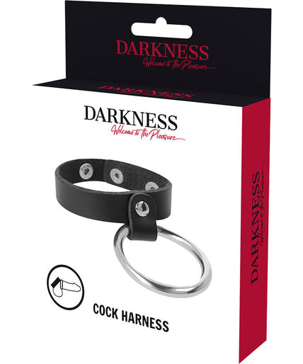 DARKNESS - METAL RING FOR THE PENIS AND TESTICLES DARKNESS - METAL RING FOR THE PENIS AND TESTICLES
