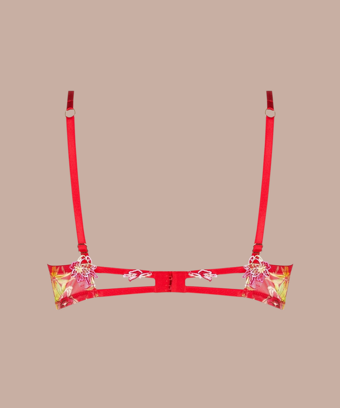 Lise Charmel Soft padded Bra Foret Rubis (Beautiful ruby red) - Pleasurements