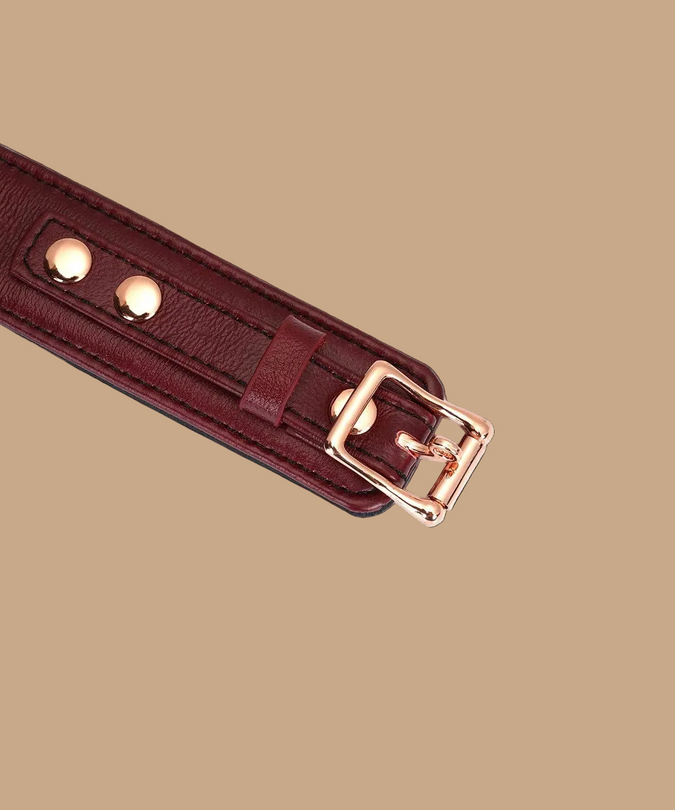 Liebe Seele Luxury Leather Collar with Leash and Lock – Wine Red