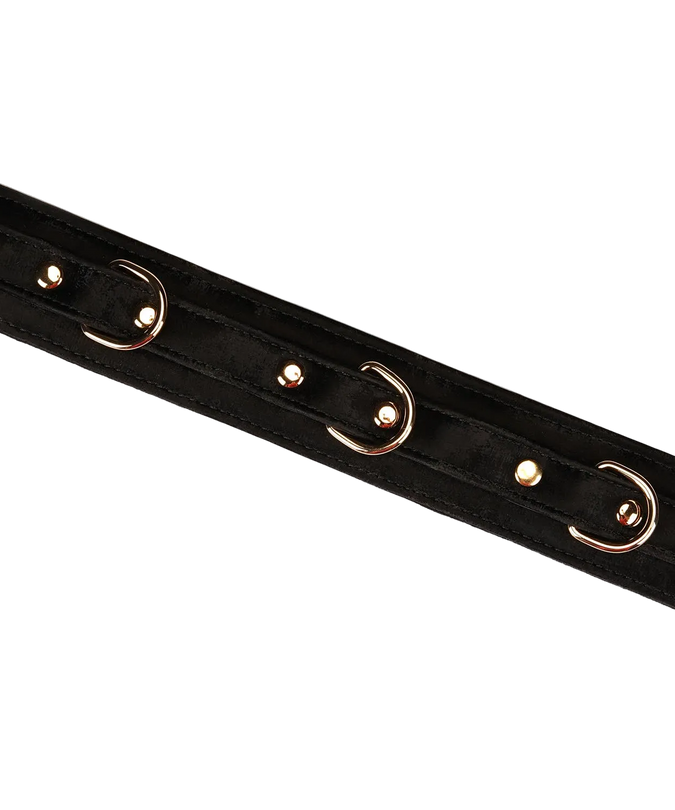 Liebe Seele Boudoir Amor Vegan Collar with Leash – Black