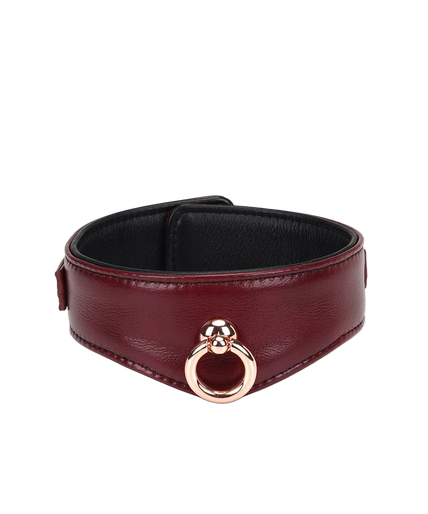 Liebe Seele Luxury Leather Collar with Leash and Lock – Wine Red