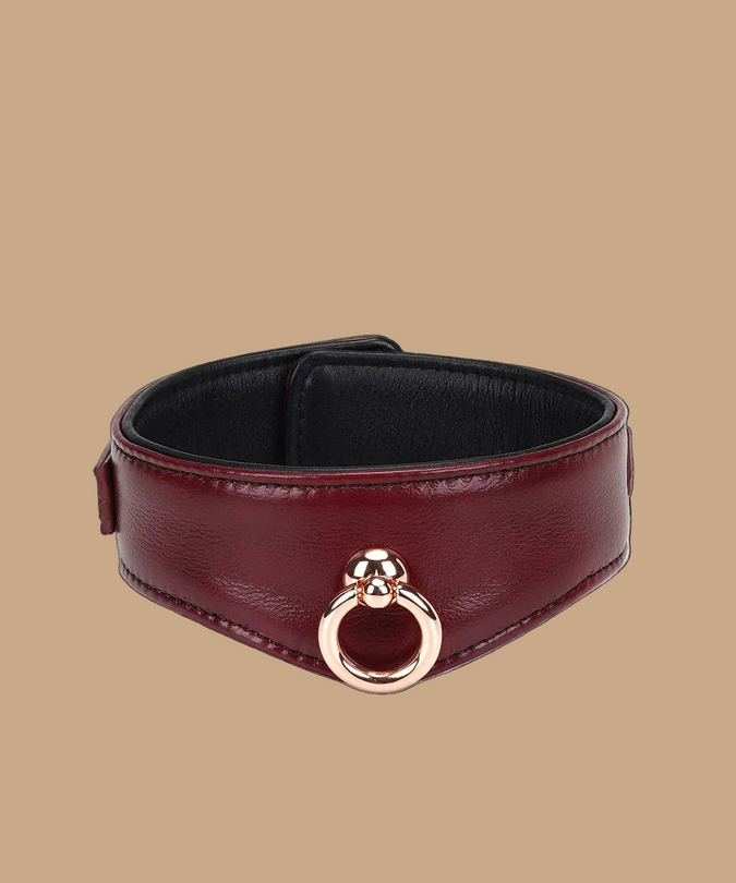 Liebe Seele Luxury Leather Collar with Leash and Lock – Wine Red