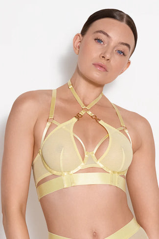 Bordelle Cadi Bodice Bra Lemon