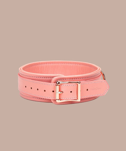 Liebe Seele Pink Dream Collar and Leash – Pink