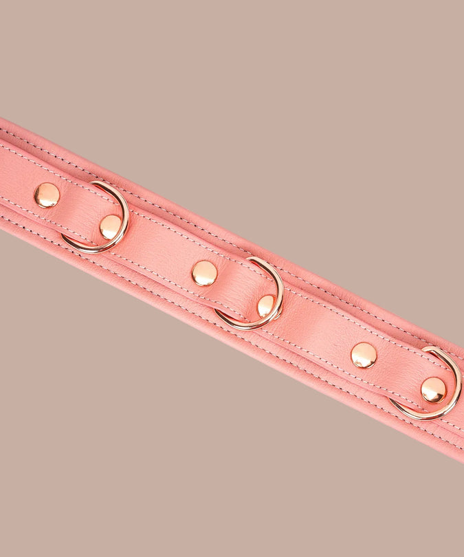 Liebe Seele Pink Dream Collar and Leash – Pink