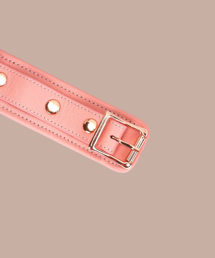 Liebe Seele Pink Dream Collar and Leash – Pink