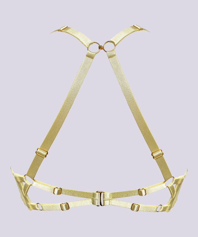 Product back