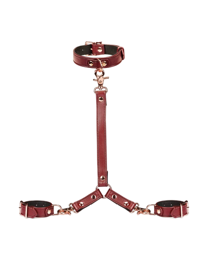 Liebe Seele Wijnrood Leren Halsband en Polsband Manchet Harnas Set