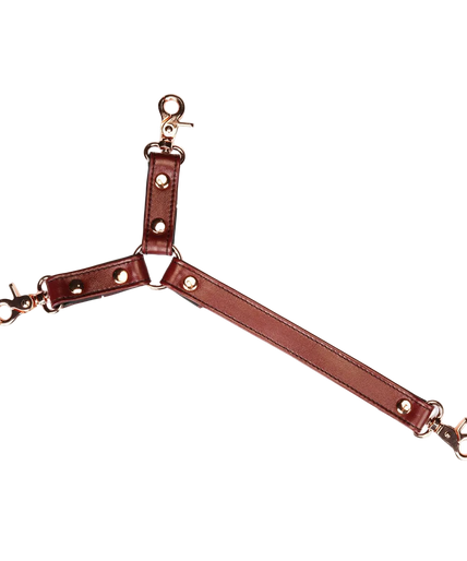 Liebe Seele Wijnrood Leren Halsband en Polsband Manchet Harnas Set
