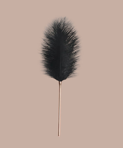 Liebe Seele Black Luxury Ostrich Feather Tickler – Gold Handle