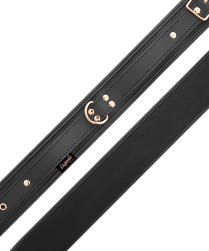 Coquette Chic Desire – Fantasy Vegan Leather Collar with Neoprene Lining