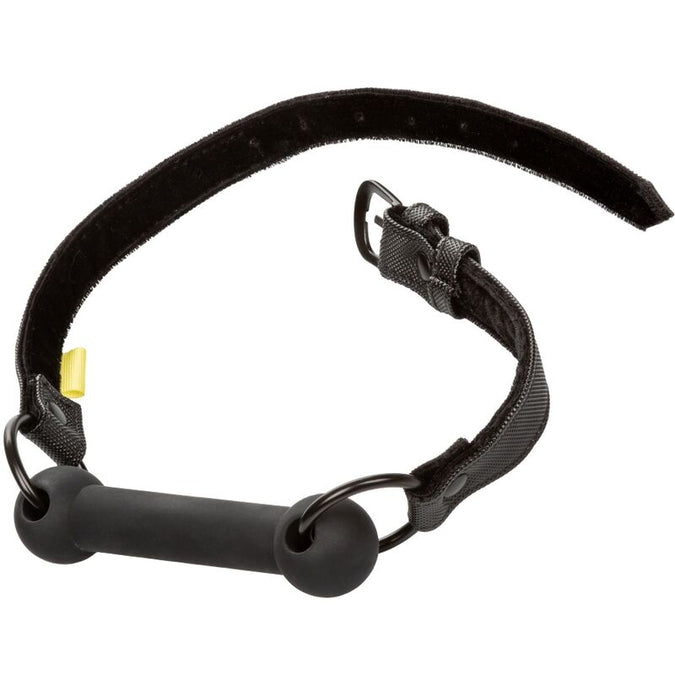 Calexotics – Boundless Mondknevel