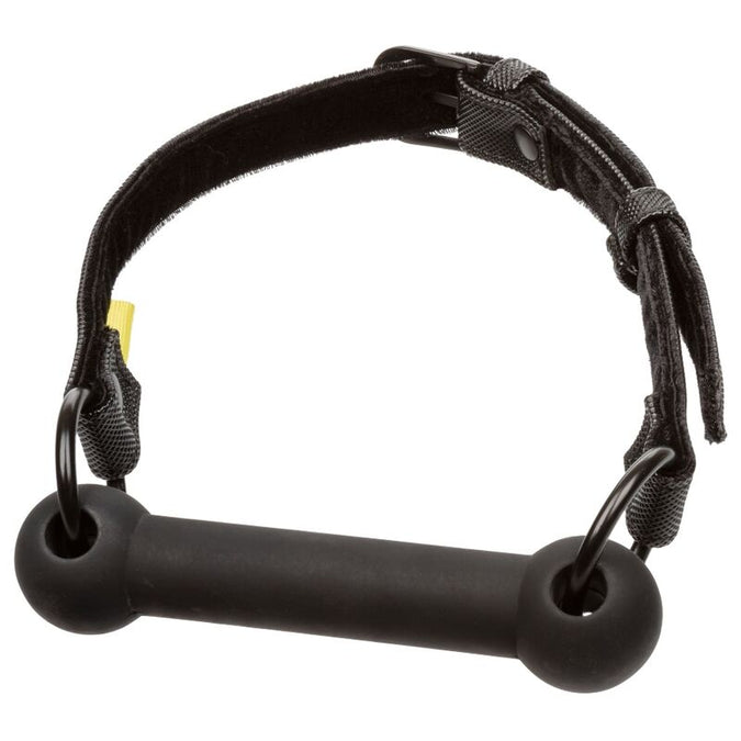 Calexotics – Boundless Mondknevel