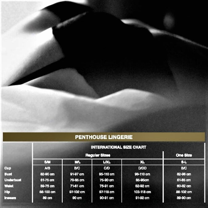 PENTHOUSE - CATCH ME SLIP ZWART S/M