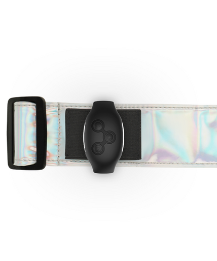 MYTHOLOGY - FANTASY HARNESS - IRIDESCENT HARNESS S/M