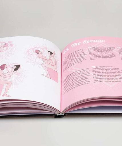 SECRETPLAY - KAMASUTRA SEX POSITIONS BOOK (ES/EN/DE/FR/NL/PT)