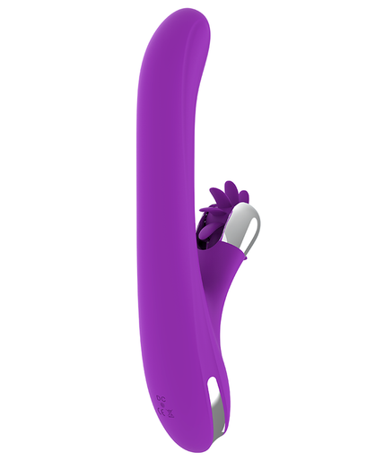 FUN FUNCTION - BUNNY FUNNY ROTATION 2.0