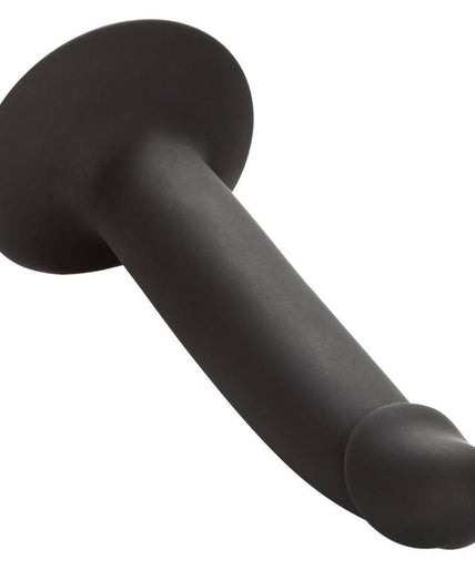 CALEXOTICS - SLIM ANAL STUD