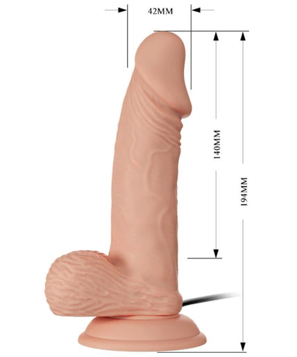 BAILE - BEAUTIFUL ENCOUNTER ZEBULON VIBRATION 19,4 CM NATUURLIJK