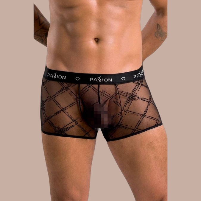 Pleasurements Passion 032 James zwarte herenshorts van transparante stof met ruitpatroon en elastische tailleband