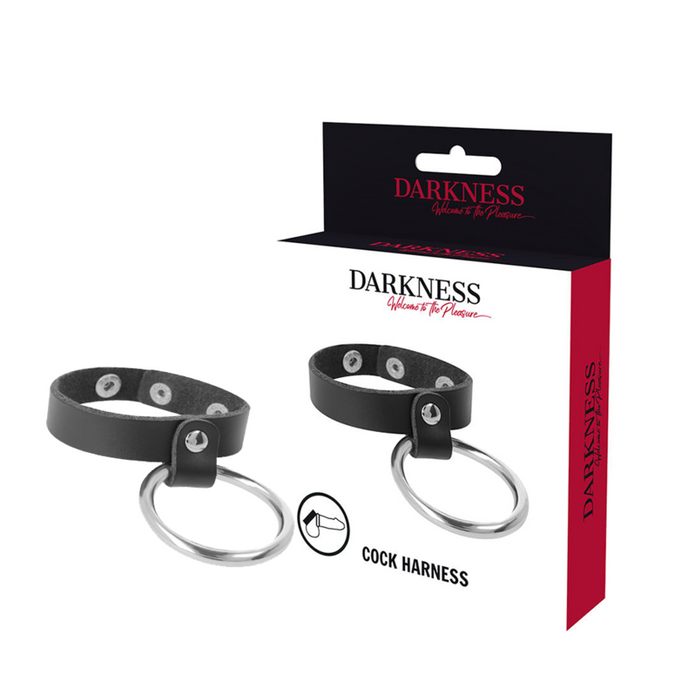 DARKNESS - METALEN RING VOOR DE PENIS EN TESTIKELS