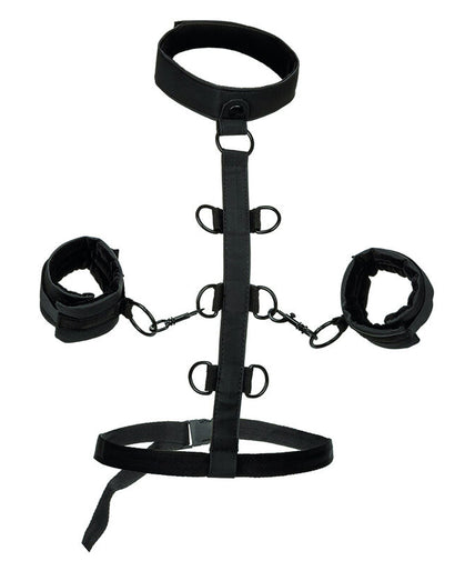 CALEXOTICS - BOUNDLESS COLLAR BODY RESTRAINT