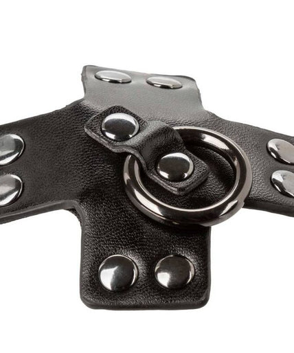 CALEXOTICS - EUPHORIA O-RING BLACK