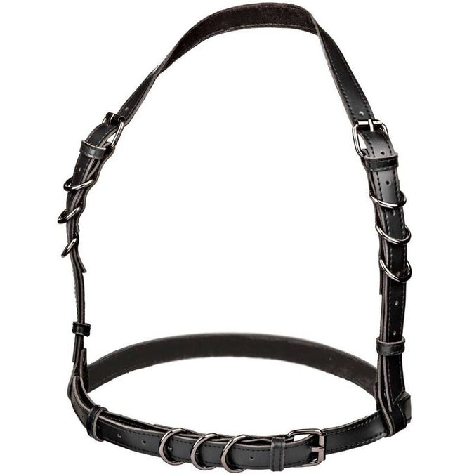 CALEXOTICS - EUPHORIA HALTER GESP HARNAS ZWART