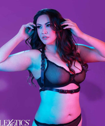 CALEXOTICS - EUPHORIA PLUS SIZE HALTER BUCKLE HARNESS BLACK