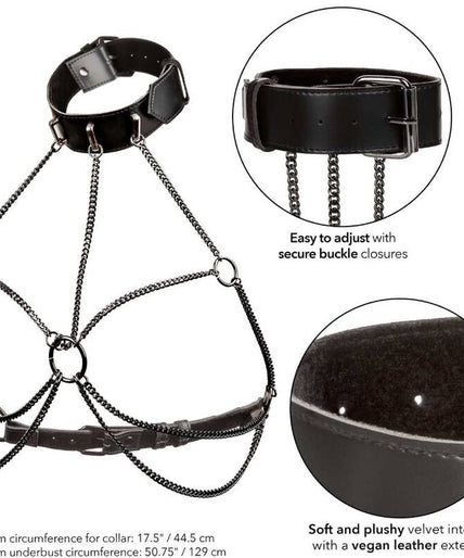 CALEXOTICS - EUPHORIA PLUS SIZE MULTI CHAIN COLLAR HARNESS