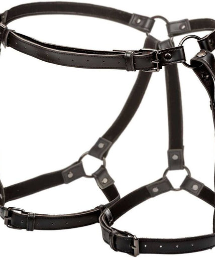 CALEXOTICS - EUPHORIA PLUS SIZE RIDING THIGH HARNESS