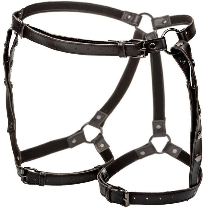 CALEXOTICS - EUPHORIA PLUS SIZE RIDING DIJHARNAS