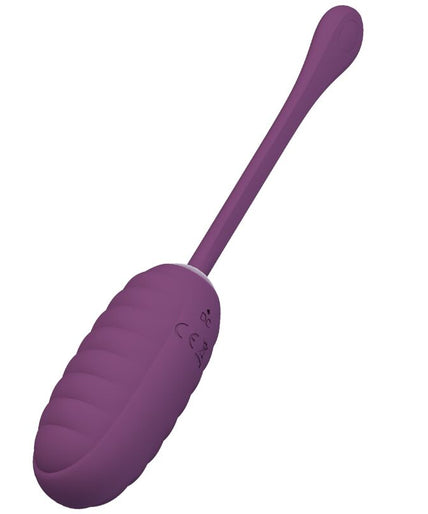 PRETTY LOVE - CASPER PURPLE RECHARGEABLE VIBRATING EGG