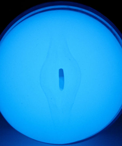 KIIROO - FEEL GLOW IN THE DARK STROKER