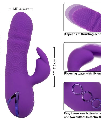 CALEXOTICS - MANHATTAN BEACH MARVEL VIBRATOR RABBIT PURPLE BY CALIFORNIA DREAMING