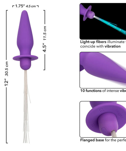 CALEXOTICS - SOUTHERN LIGHTS LIGHT UP ANAL PLUG 10 VIBRATIONS SILICONE PURPLE