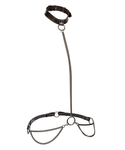 CALEXOTICS - EUPHORIA CHAIN HALTER COLLAR & LEASH