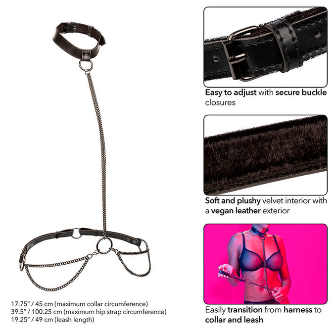 CALEXOTICS - EUPHORIA HALSBAND & RIEM MET KETTING