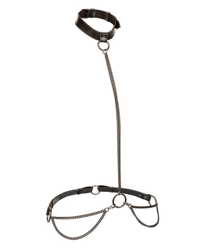 CALEXOTICS - EUPHORIA CHAIN HALTER COLLAR & LEASH PLUS SIZE