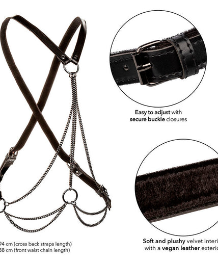CALEXOTICS - EUPHORIA MULTICHAIN HARNESS PREMIUM