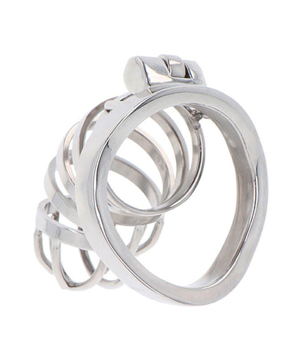 HIDDEN DESIRE - EXTREME CHASTITY COCK CAGE METAL