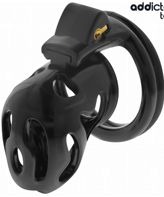 ADDICTED TOYS LOCKED - VERZEGELDE CRYPT PENISKooi 8 CM